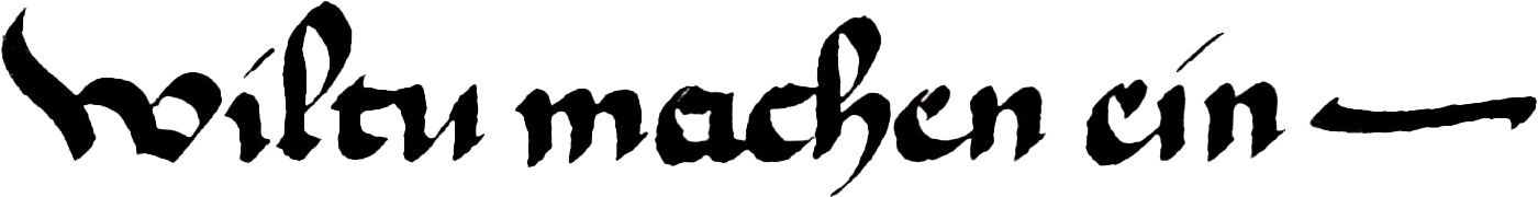 mittelniederdeutscher Text: willtu machen ein - (willst du ein [...] machen)